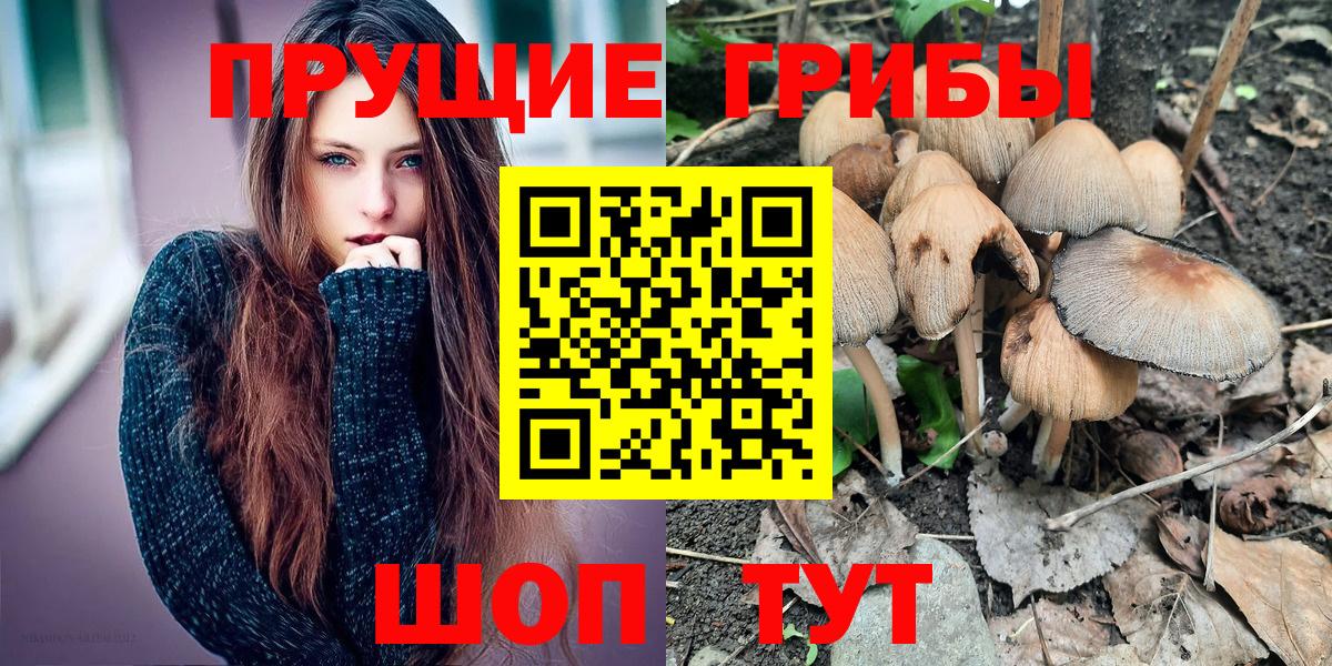 Галлюциногенные грибы Psilocybine cubensis Мыски